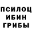 Псилоцибиновые грибы ЛСД Dmitry Parshin