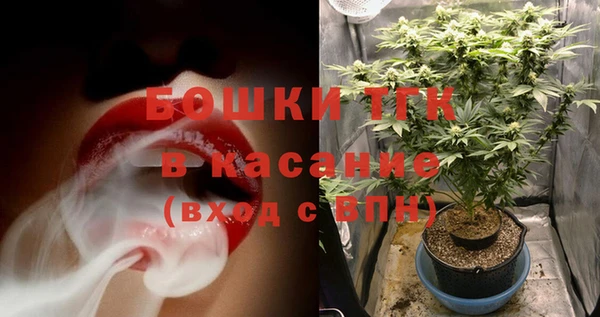 PSILOCYBIN Балахна