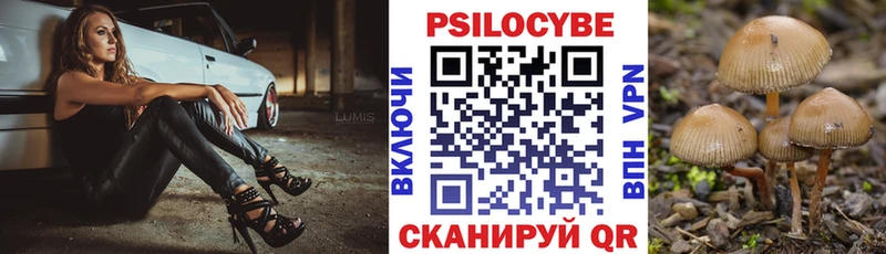 Галлюциногенные грибы Psilocybine cubensis  Купить закладки  Апатиты 